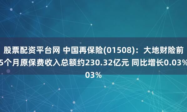 股票配资平台网 中国再保险(01508)：大地财险前5个月原保费收入总额约230.32亿元 同比增长0.03%