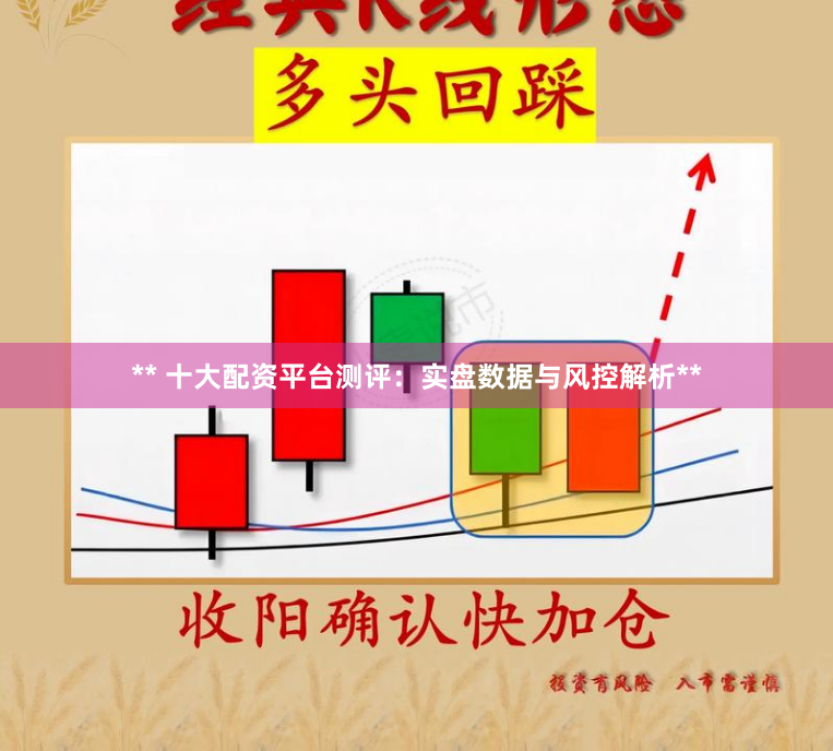 ** 十大配资平台测评：实盘数据与风控解析**